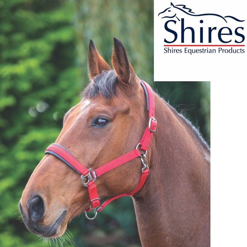 Shires Comfort Padded Headcollar - Red 